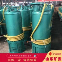 BQS(W)110KW矿用潜水排沙电泵 防爆污水泵品牌矿安